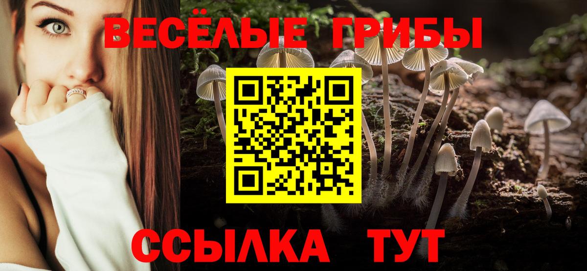 Псилоцибиновые грибы Psilocybe  Вход с VPN  Серпухов 
